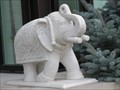 Image for Elephants - Ottawa, Ontario