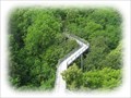 Image for National Park Hainich - Treetop Path - A Wildlife Refuge, Bad Langensalza, TH