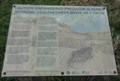 Image for Endangered Predator in Dunes - Talacre, UK