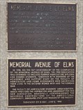 Image for MHM Memorial Avenue of Elms - U of M - Winnipeg MB