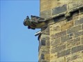 Image for All Saints Church Gargoyles - Yorkshire, United Kingdom
