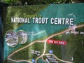 Image for You Are Here - Tongariro Trout Hatchery River Walk,  Turangi. New Zealand.