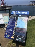 Image for Fish Forever - Oceanside, CA