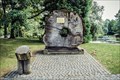 Image for Mammutbaumsegment mit Geschichtsdaten - Rheinaue Bonn, Nordrhein-Westfalen, Germany