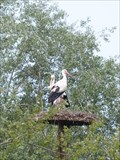 Image for Les oiseaux du Pal, Dompierre sur Bresbre, Allier, France