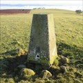 Image for O.S. Triangulation Pillar - Kincaldrum Hill, Angus.