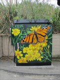 Image for Monarch Butterfly - Soquel, CA