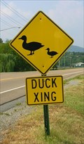 Image for Duck Xing - Soddy Daisy TN