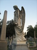 Image for Corinne Young Herndon Grave - Fredericksburg, VA