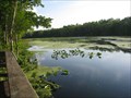 Image for Wekiva River - Wilsons Landing Park - Sanford, FL