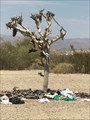 Image for Slab City Shoe Tree - Niland, CA