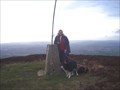 Image for Moel Gwy