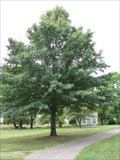Image for Edward M & Joan Becker Dedicated Tree, Shawnee Lookout Park, OH