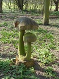 Image for Mushrooms, Windmill Field - Wellingore, Lincolnshire