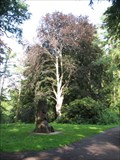 Image for Arboretum Bukovina - Czech Republic