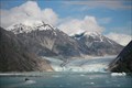 Image for Dawes Glacier - Alaska