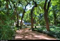 Image for Jardín Botánico Carlos Thays de la Ciudad Autónoma de Buenos Aires / Buenos Aires Botanical Garden - Palermo (Buenos Aires)