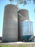 Image for Grain Elevators, Allora, QLD