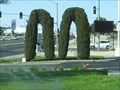 Image for Golden Arches?  Nope, Green Arches!  Ridgecrest, CA