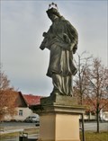 Image for St. John of Nepomuk // sv. Jan Nepomucký - Sedlec-Prcice, Czech Republic
