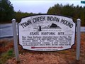 Image for KK-3 TOWN CREEK INDIAN MOUND STATE HISTORIC SITE