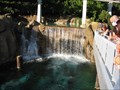 Image for Finding Nemo Waterfall - Anaheim, CA