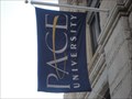 Image for Pace University Flag -  New York City, NY