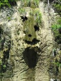 Image for Green Skull in a Waterfall - Mittelhäusern, BE Switzerland