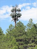 Image for Pine Tree Cell Tower - Monument Hill, CO