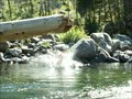 Image for Icicle River