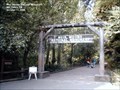 Image for Muir Woods National Monument - Mill Valley CA