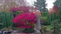 Image for The Japanese Garden - Bonn, Germany