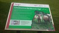 Image for Bronze Age Livestock - Flag Fen Archaeology Park - Peterborough, Cambridgeshire