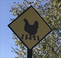 Image for Chicken Crossing - Rancho Mission Viejo, CA