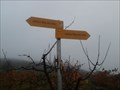 Image for A Very Useful Direction Sign - Oltingen, BL, Switzerland