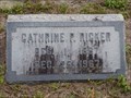 Image for 100 - Catherine P. Ricker - Jacksonville, FL