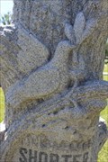 Image for S.M. Shorter - Fairview Cemetery - Denison, TX, USA