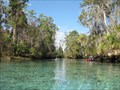 Image for Three Sisters Springs - Crystal River, FL