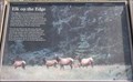 Image for Elk Meadow Signs - California