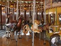 Image for African Carousel, Toledo Zoo - Toledo, Ohio