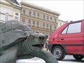 Image for želva na horním námestí / Turtle on main square
