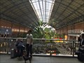 Image for Atocha Railway Station - Madrid, Spain