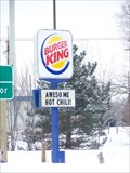 Image for Burger King - M-36 - Green Oak Township, Michigan
