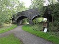 Image for Station Road Bridge Over Stafford To Newport Greenway - Haughton, UK