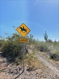 Image for Horse and Cowboy-- Cave Creek