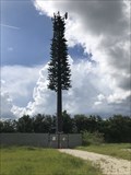 Image for Turnpike Cell Phone Tower - Kissimmee, Florida, USA
