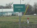 Image for Hammond, Illinois