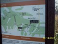 Image for You Are Here - Long Pine Key Trail at Everglades NP, Florida USA