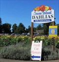 Image for Annual Swan Island Dahlia Festival, Canby, OR
