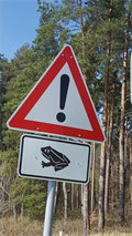 Image for Attention frog crossing! - Pößneck/ Thüringen/ Deutschland